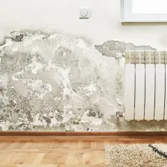 Grzyb na ścianie poczatek. Wilgoć niszczy tynk obok kaloryfera i gniazdka elektrycznego.