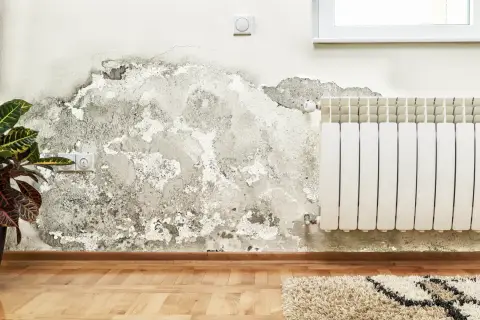 Grzyb na ścianie poczatek. Wilgoć niszczy tynk obok kaloryfera i gniazdka elektrycznego.